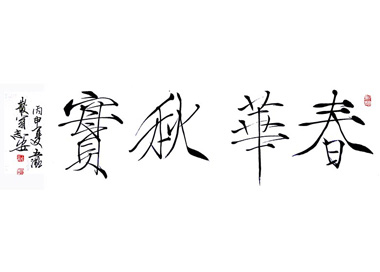 ᳤鷨