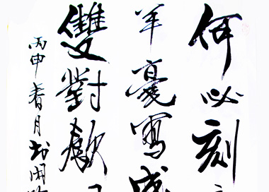 ᳤鷨