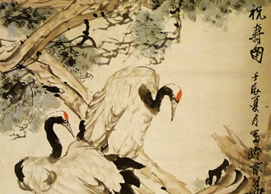 ᳤鷨