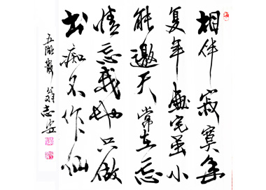 ᳤鷨